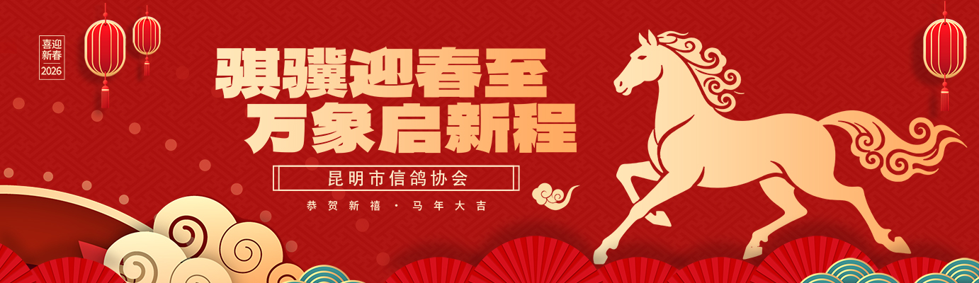 2026春节banner.jpg